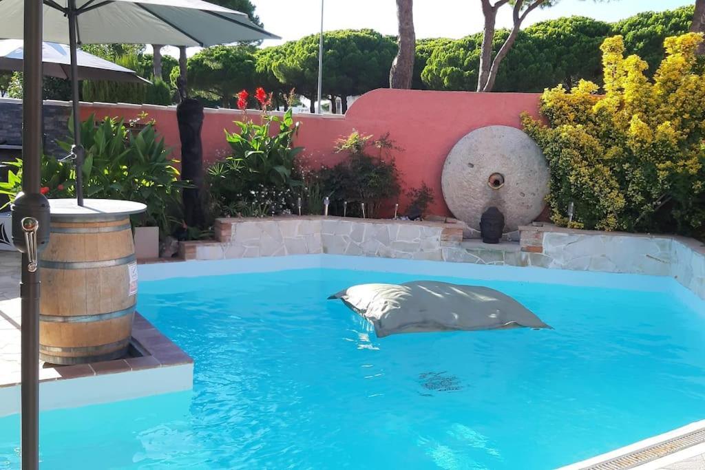 Hebergement Insolite Studio Grau Du Roi Mas Des Marines Piscine Ле-Гро-дю-Руа Экстерьер фото
